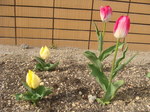 DSC06638.JPG