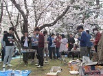 IMG_5372.jpg