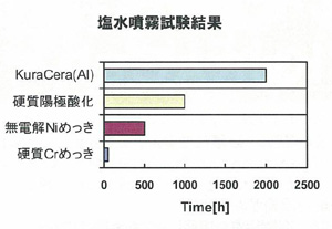 塩水噴霧試験結果